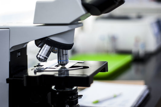 Laboratorietest: Kan bakterier växa i såpa?